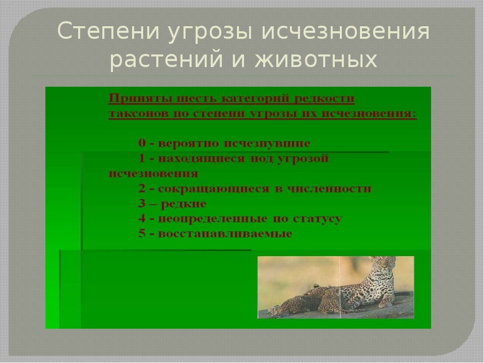 Находящимися под угрозой исчезновения. Исчезновение животных и растений. Угроза исчезновения животных. Решение проблемы вымирания животных и растений. Пути решения исчезновения животных и растений.