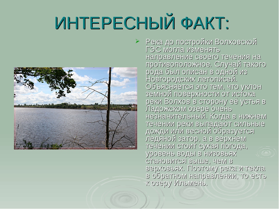 Что люди делают для реки. Интересные факты о реках. Река Волхов интересные факты. Интересные факты о Ерках. Факты о реке Волхов.