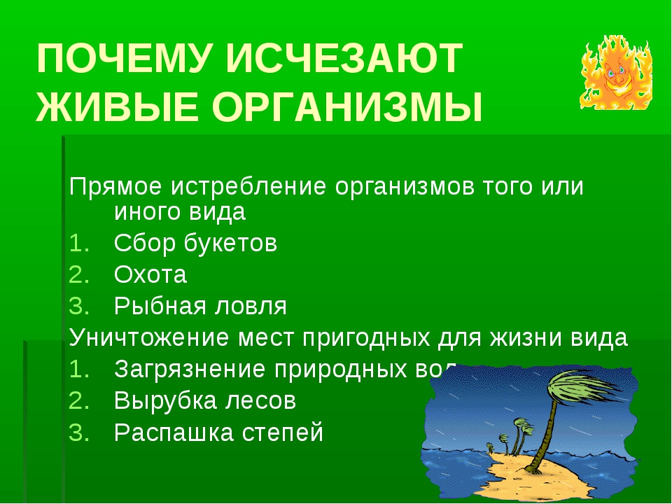 План по охране природы. Охрана живого мира презентация. Биология охраны природы презентация. Охрана природы 5 класс презентация. Прямое истребление организмов.