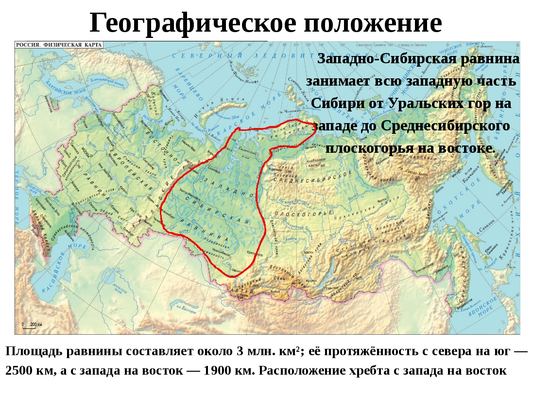 Какие озера находятся на западно сибирской равнине. Западно-Сибирская равнина географическое положение на карте. Восточно европейская равнина на карте России география. Западно-Сибирская низменность на карте России. Западно Сибирская низменность на карте.