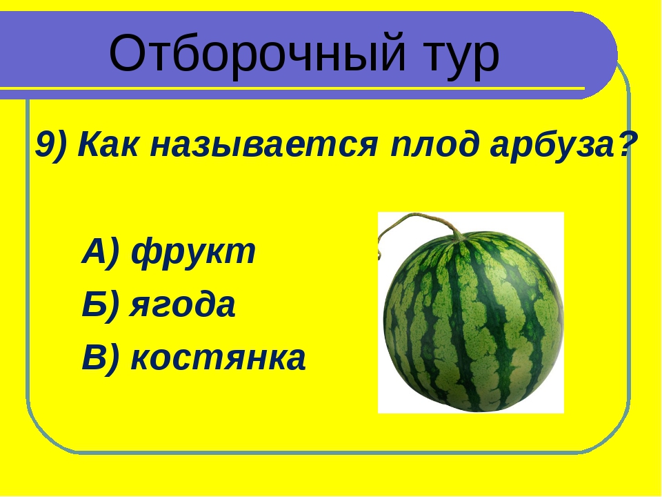 Арбуз это ягода или. Как называется плод арбуза. Арбуз Тип плода. Плод арбуза это Тыквина или ягода. Арбуз это ягода фрукт или овощ.