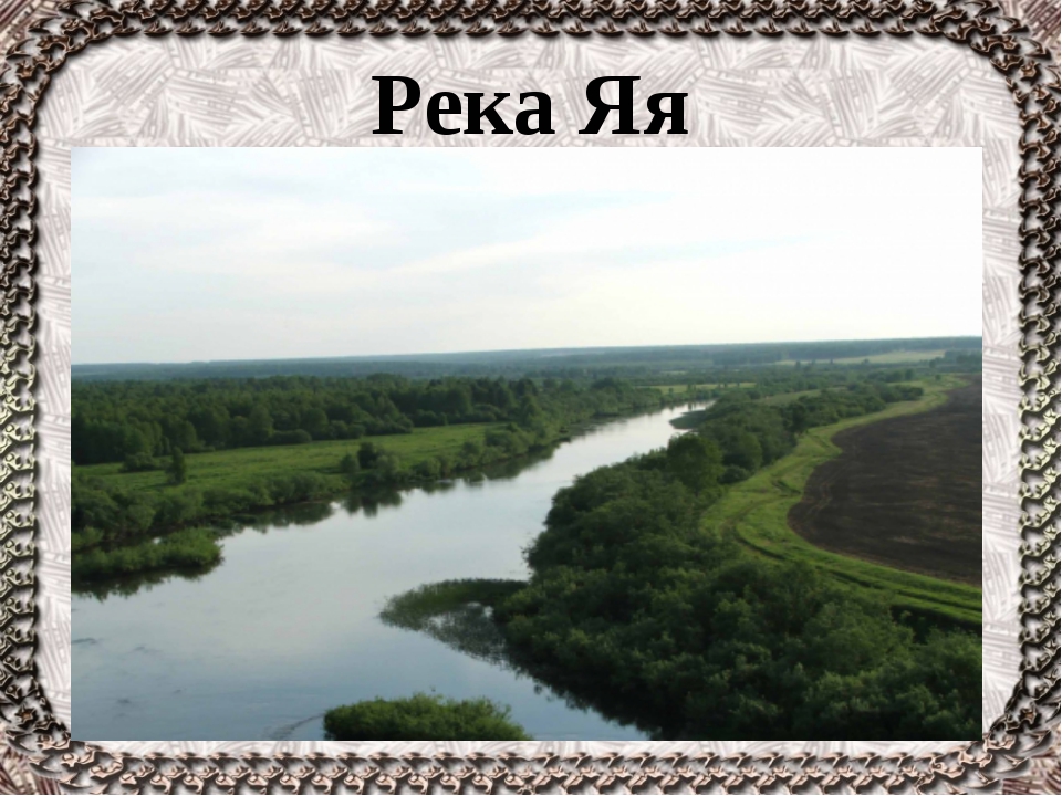 Течение в реке 4. Реки Кузбасса Яя\. Река Яя Кемеровская область 4 класс. Крупные реки Кузбасса. Растения реки Яя.