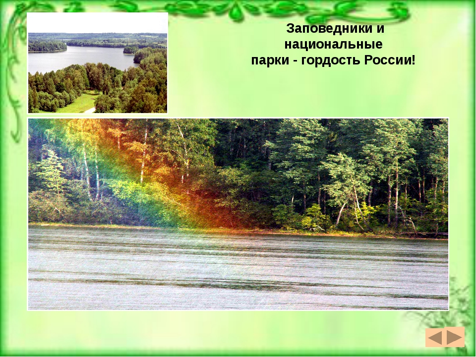 Природная зона заповедник. Заповедниках и национальных парках России. Заповедники и парки России. Заповедники России и национальные парки России. Российские заповедники и национальные парки.