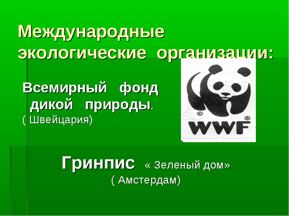 Современная экологическая организация. Международные экологические организации. Международные экологические организации в мире. Международные экологические организации 4 класс. Экологические организации в России.
