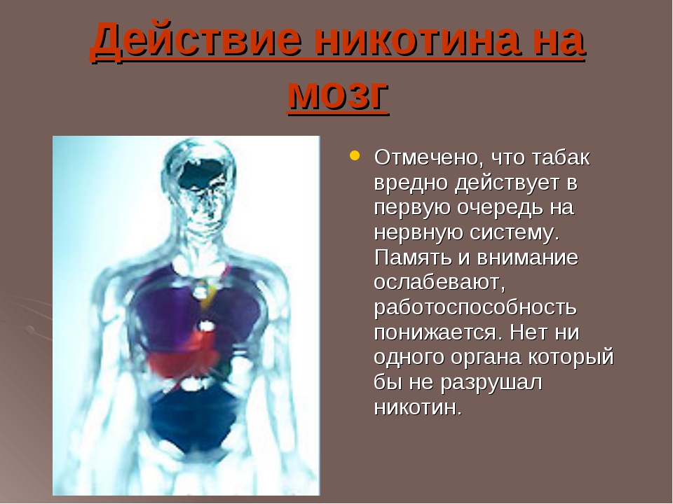 Никотин токсин. Влияние никотина на человека. Воздействие никотина на организм. Влияние никотина на нервную систему.