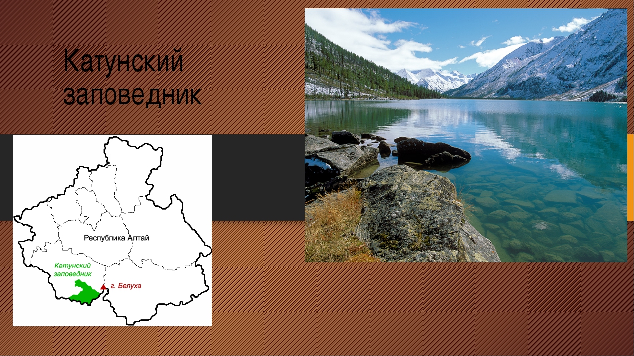 Алтайский заповедник презентация. Катунский заповедник презентация. Катунский заповедник на карте. Катунский заповедник растения. Катунский биосферный заповедник карта.