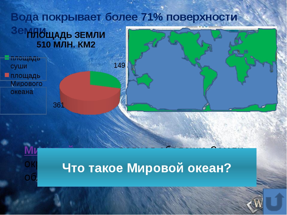 Сколько занимают океаны