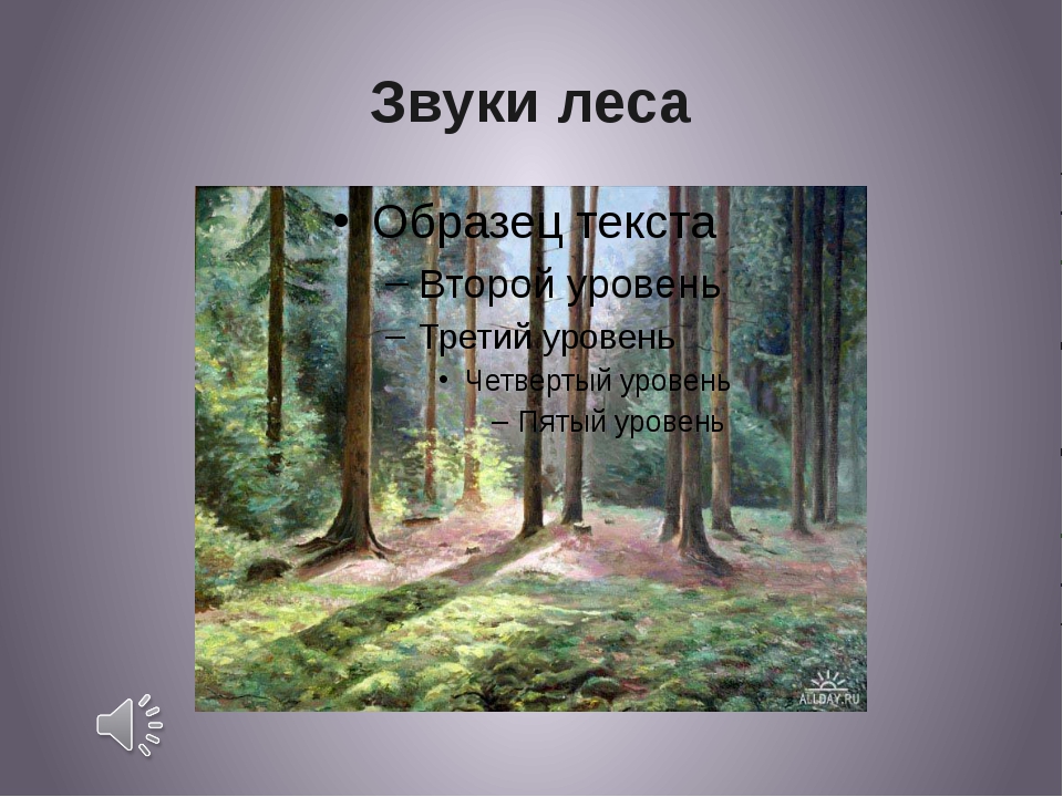 Лес звуки. Звуки леса. Звуки леса для детей в детском саду. Уровни леса. Аудиозапись звуки леса.