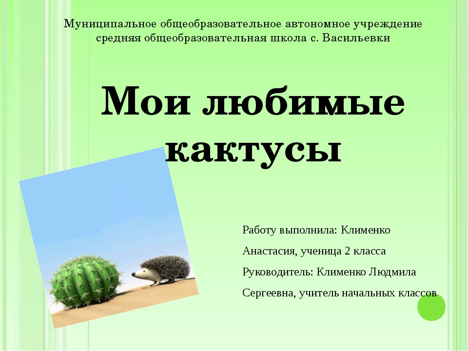 Восстанови последовательность плана текста как кактусы обходятся без воды