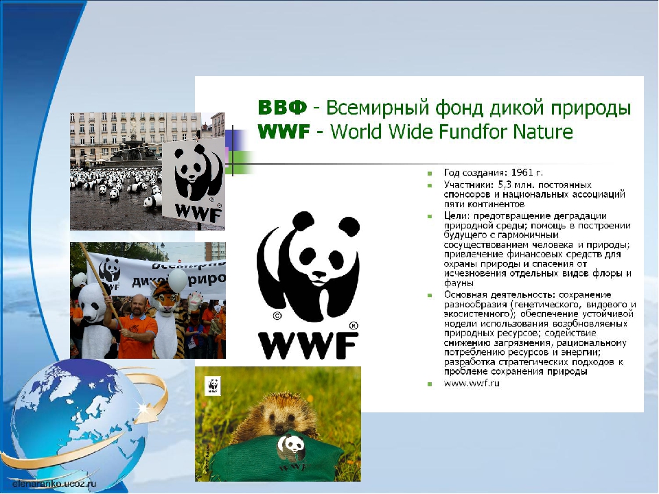 The world wildlife fund is an organization