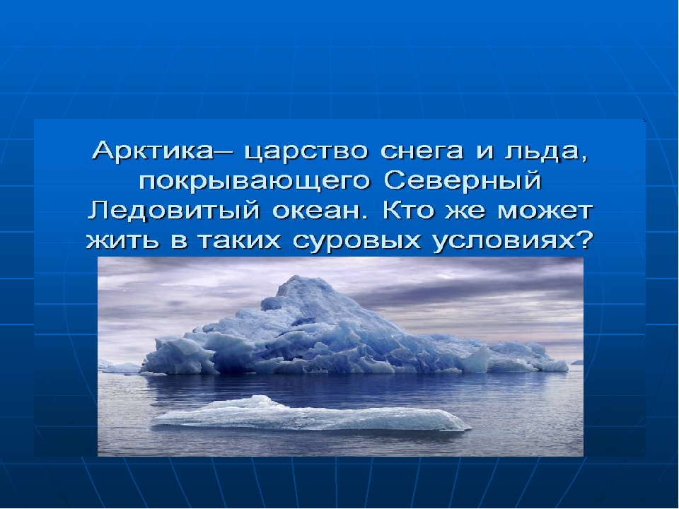 Арктика 4 класс окружающий мир презентация