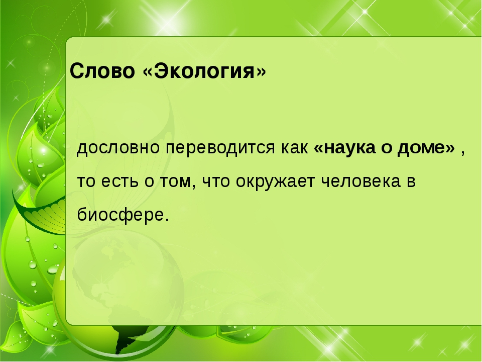 Экологический текст. Экология слова. Как переводится экология. Как переводится слово экология. Как переводится термин экология.