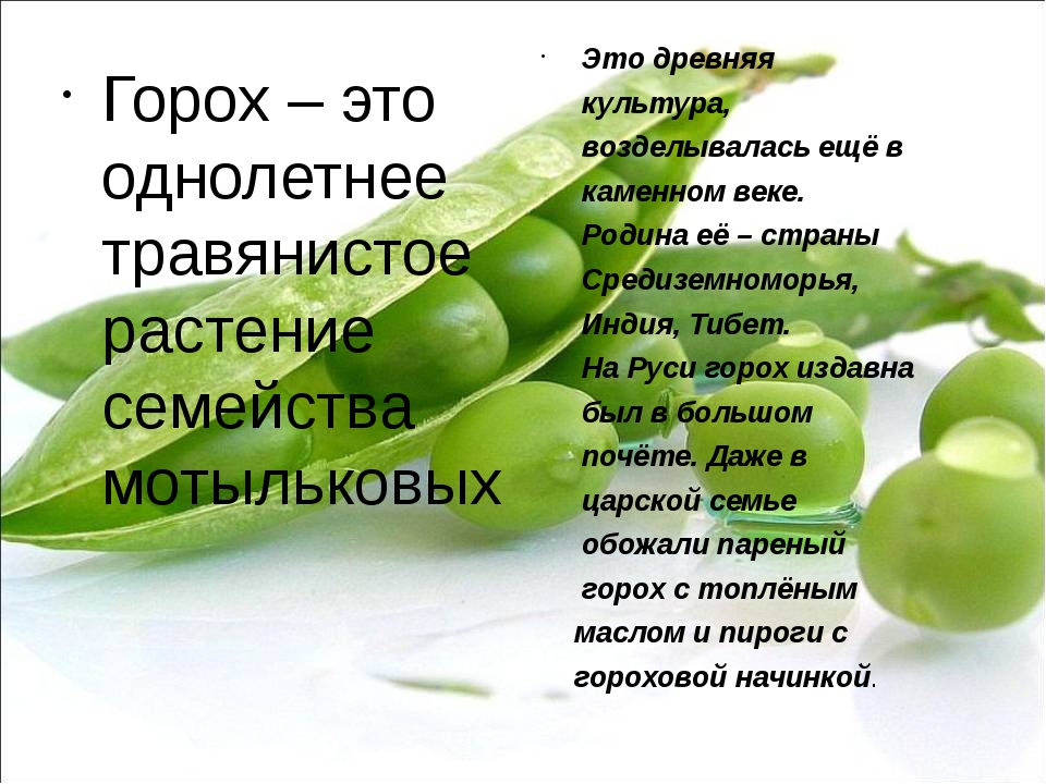 Презентация о горохе