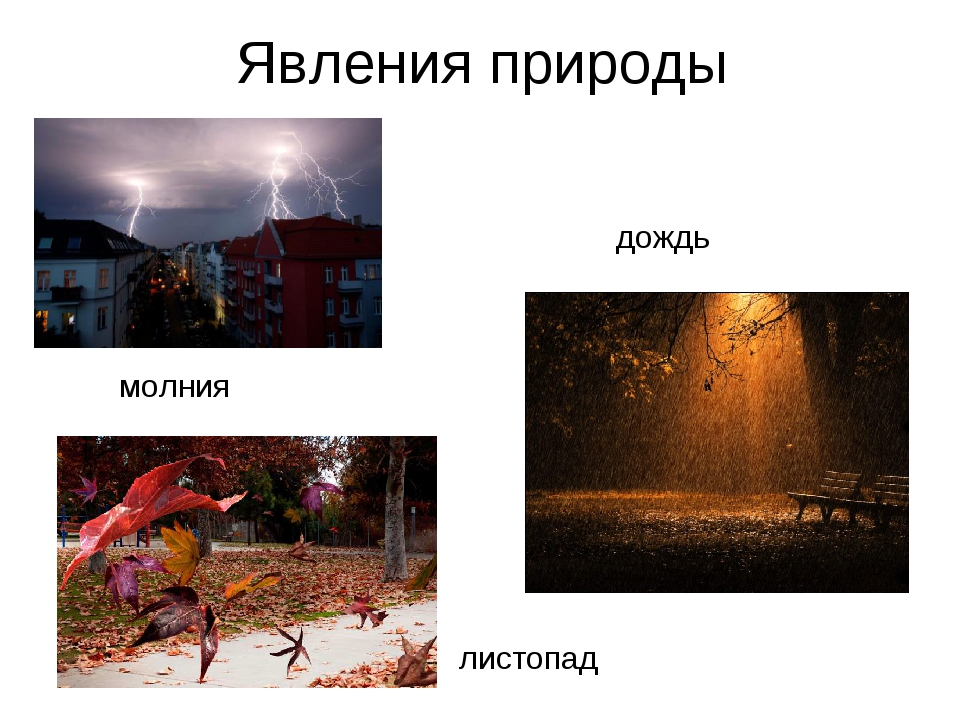 Условие явление. Явления природы листопад. Листопад природное явление. Явления природы: дождь, листопад.. Явления природы ливень.