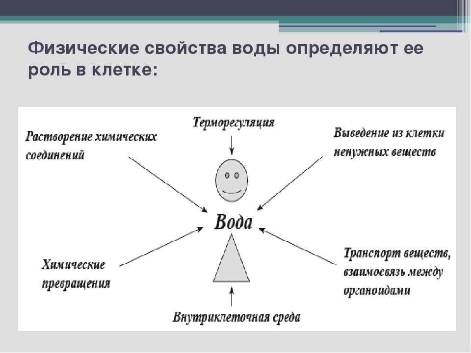 Понять свойство. Физико-химические свойства клеток. Свойства воды в клетке. Биологические функции воды в клетке. Строение и функции воды.