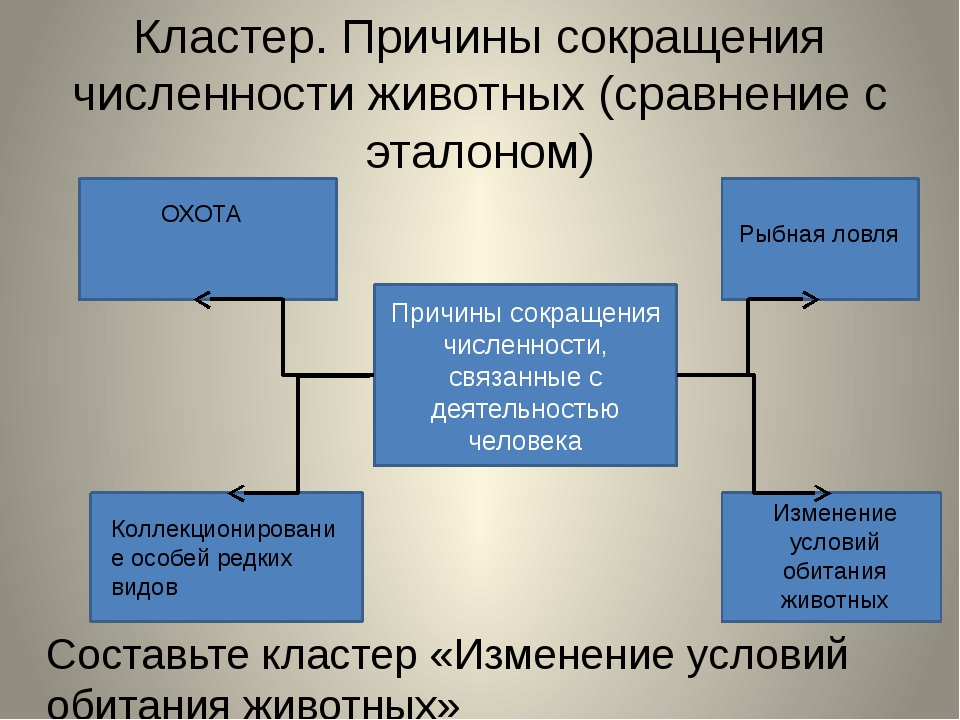 Причин сокращения численности. Причины снижения численности видов животных. Причины сокращения численности животных. Причины сокращения численности видов животных. Основные причины снижения численности видов животных кластер.