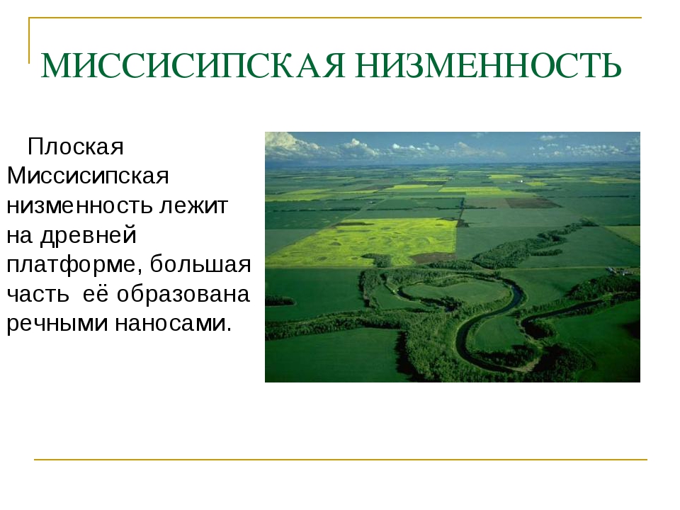 Определите низменность. Миссисипская низменность. Миссисипская низменность на карте Северной Америки. Миссисипская низменность - форма рельефа. Миссисипская низменность на карте мира.