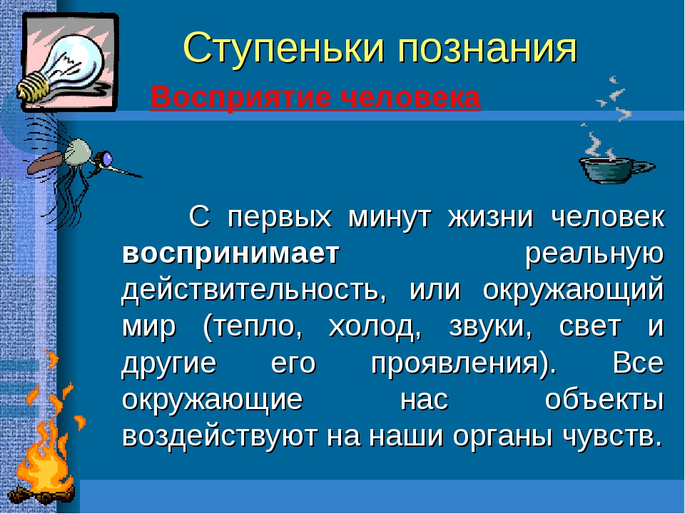 Презентация по теме познание