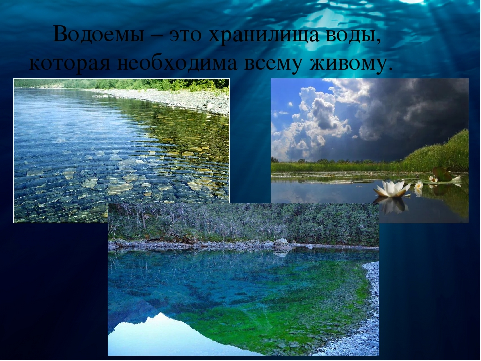 Естественные водоемы екатеринбурга. Водоем. Водоемы бывают. Какие бывают водоемы. Кластер водоемы.