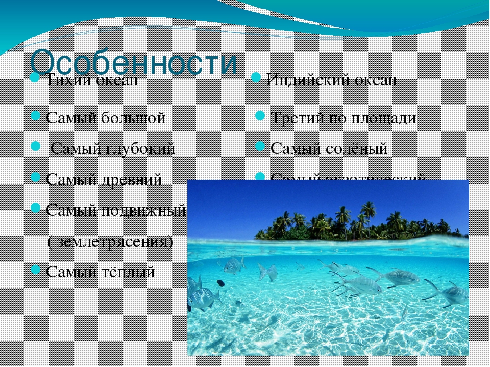 Описание океана по плану 7 класс география. Особенности индийского океана. Особенности Тихого океана. Характеристика индийского океана. Особенности природы индийского океана.