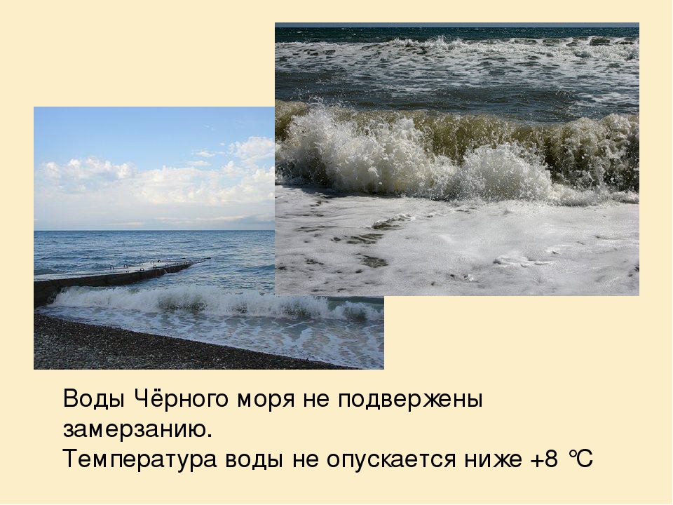 Какая температура в черном море. Климат черного моря зимой. Состояние моря зимой черного моря. Климат черное море летом. Черное море вода.