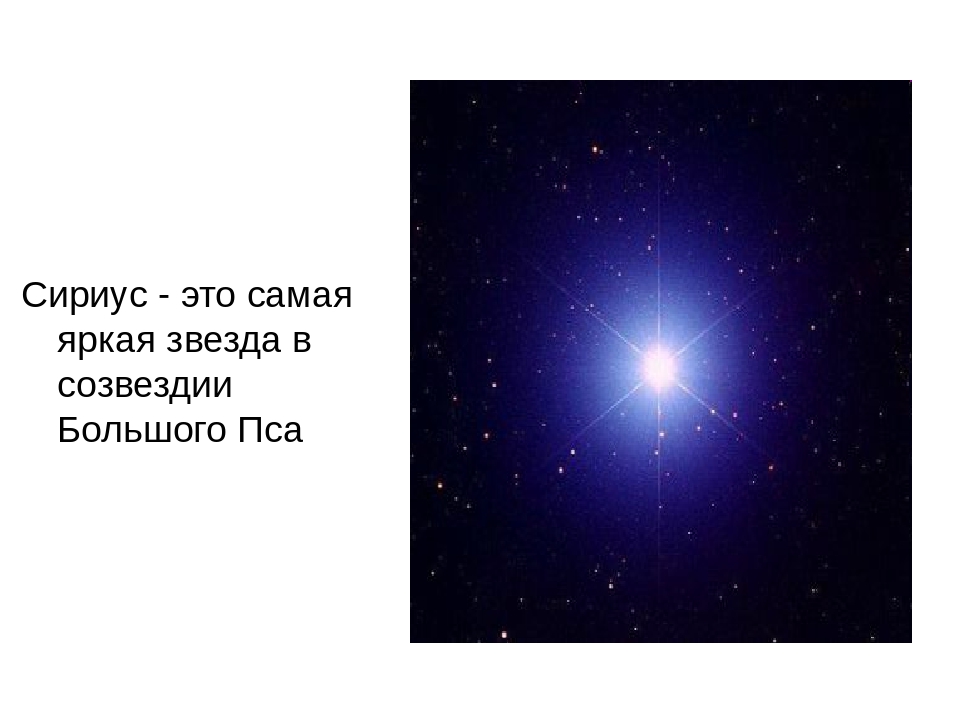 Сириус звезда какого созвездия. Сириус звезда большого пса. Самая яркая звезда. Яркая звезда Сириус. Яркие и крупные звезды.
