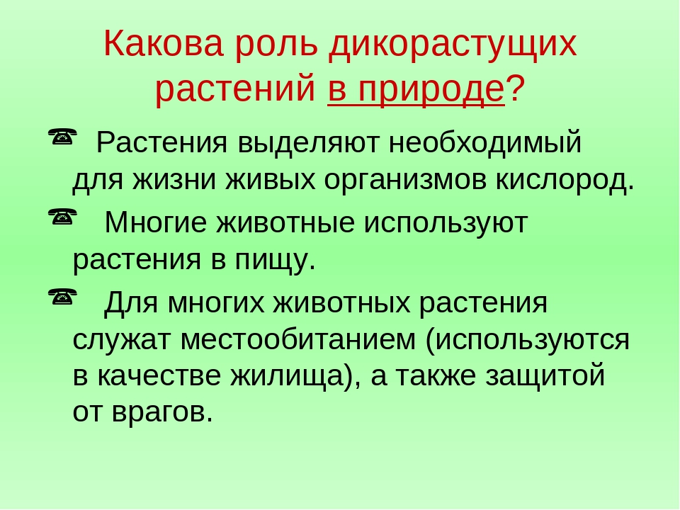 Какое значение имеют растения для животных. Какова роль дикорастущих растений в природе. Дикорастущие растения в жизни человека. Значение растений в природе. Дикорастущие растения значение в природе.