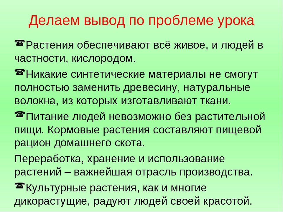 Значение растений в жизни человека и природы. Значение растений в природе и жизни человека. Значимость растений в жизни человека. Человек и растения проект. Роль растений в природе и жизни.