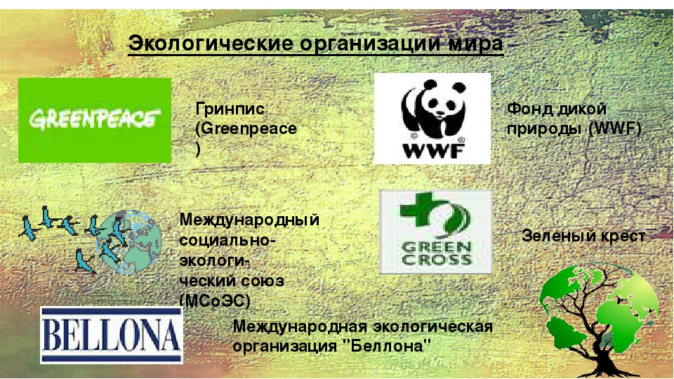 Экологическая организация 4 класс. Международные экологические организации. Экологические организации в мире. Международные организации по экологии.