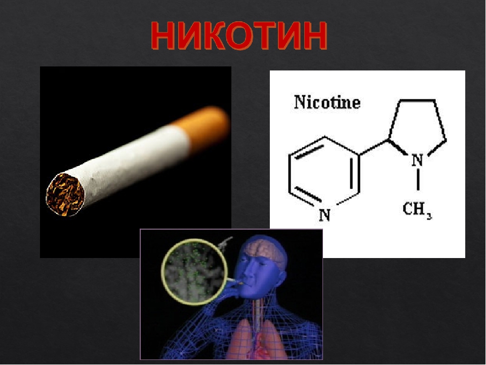 Никотин обмен веществ. Никотин. Слайд про никотин. Никотин для презентации. Никотин это химическое вещество.