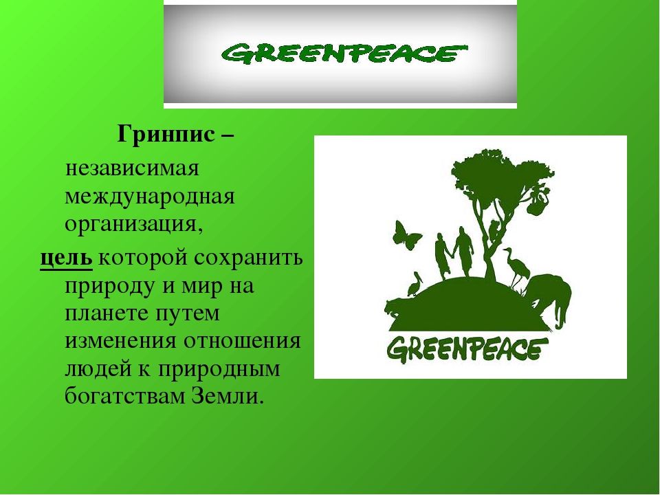 Гринписовец. Гринпис международные экологические организации. Экологические организации России Гринпис. Организация Гринпис кратко. Деятельность Гринпис в России.