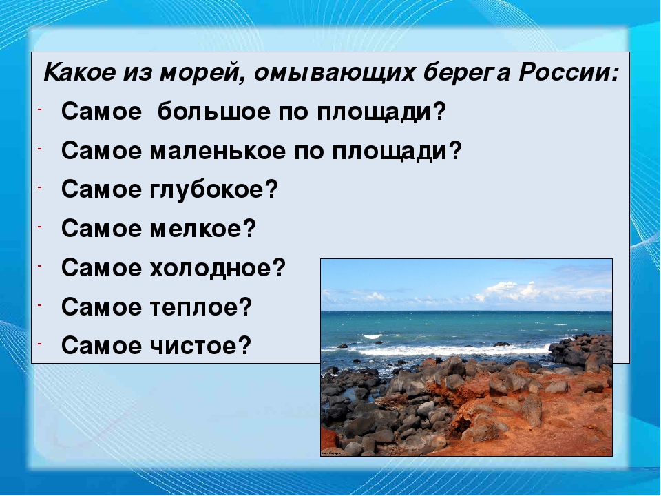 Берега нашей страны омывают. Какие моря омывают моря. Какое есть море. Моря России кратко. Теплые моря России.
