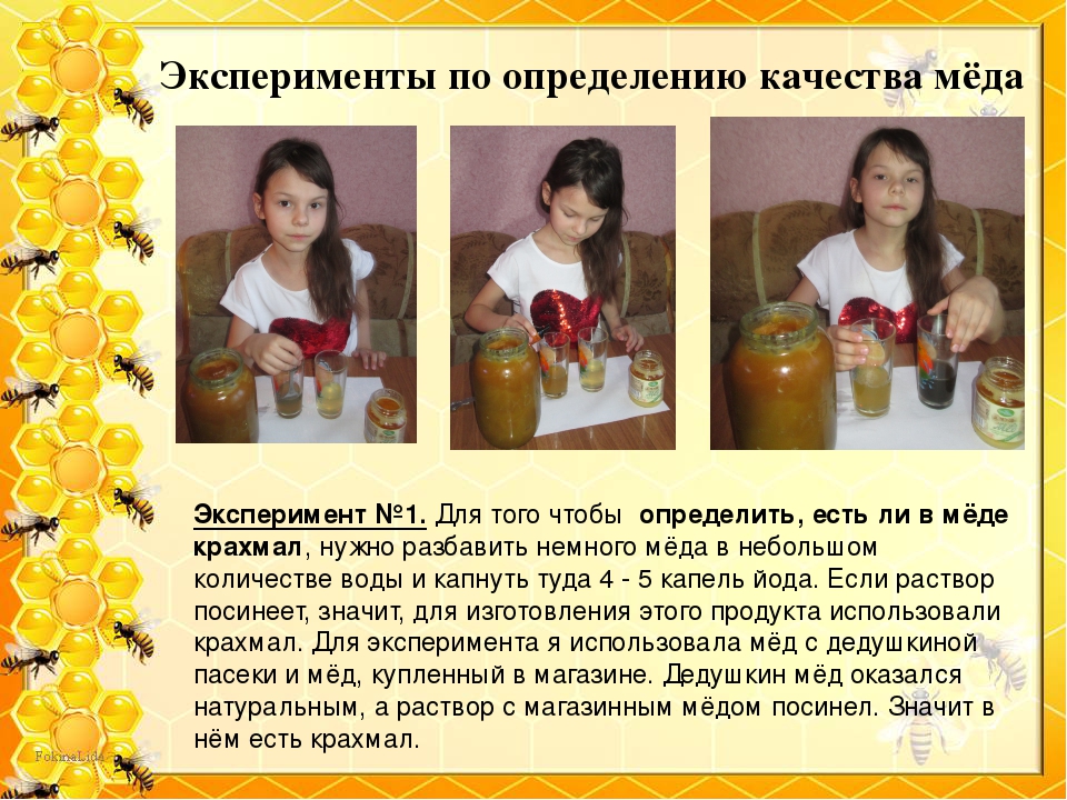 Эксперимент можно проверить. Опыты с медом. Опыт с медом для детей. Опыты и эксперименты с медом для детей. Опыты с медом для дошкольников.