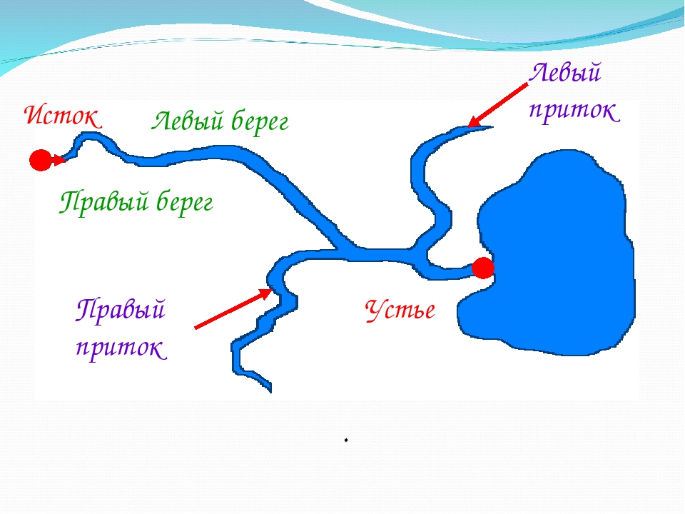 Как нарисовать устье реки