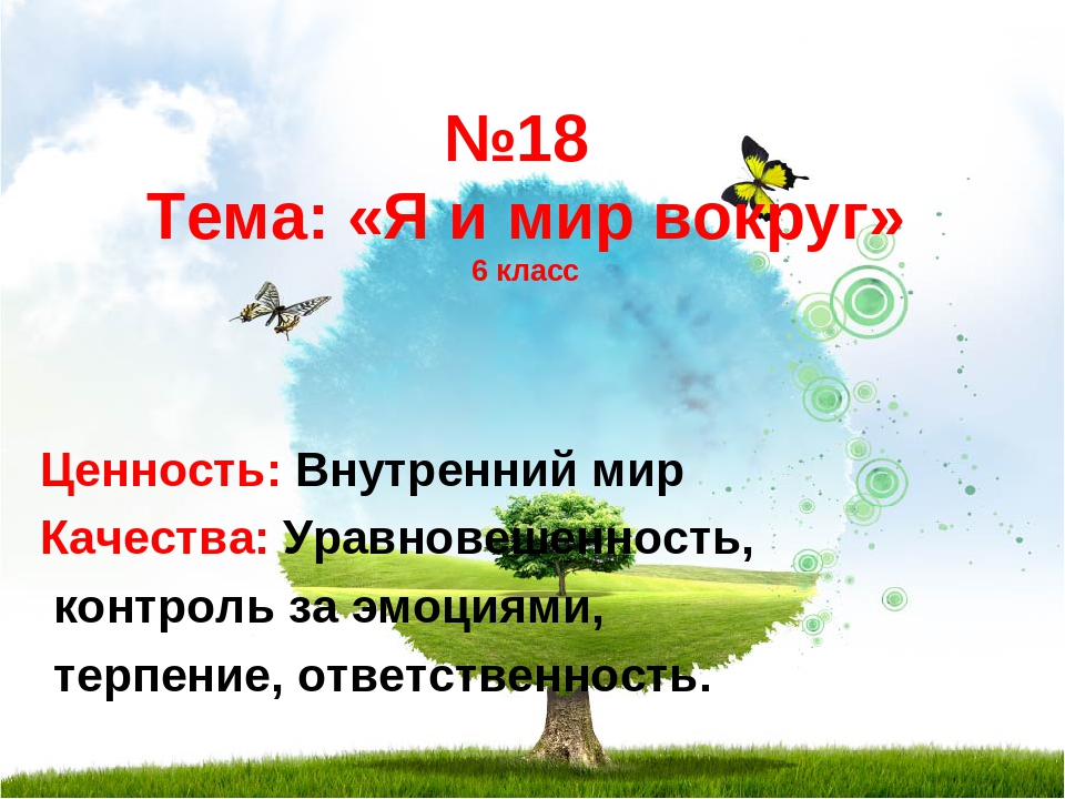 Мир презентация. Презентация я и мир вокруг меня. Я мир вокруг самопознание. Тема мир вокруг меня. Презентация на тему мир вокруг меня темы.