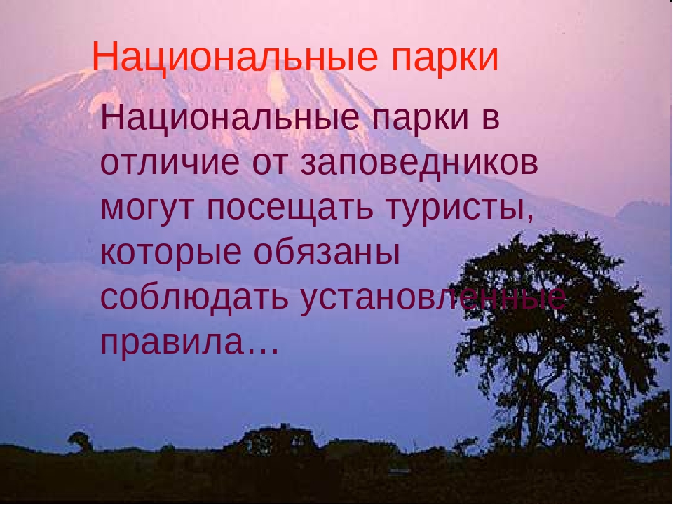 Классы национальных парков. Заповедники и национальные парки мира. Национальные парки мира презентация. Национальные парки мира доклад. Национальные парки мира проект 4.