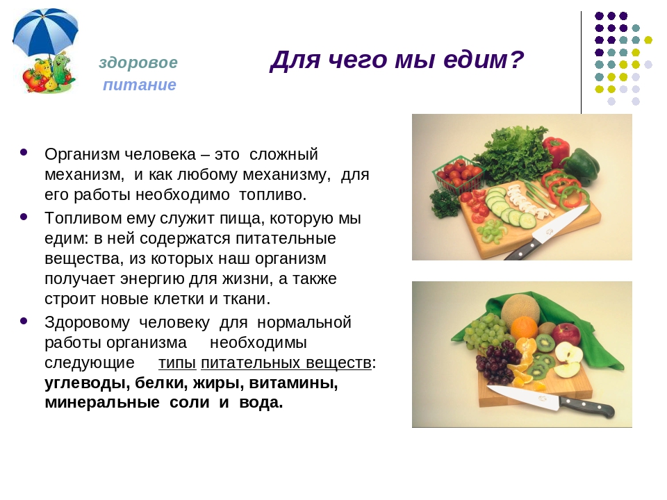 Питание ели. Здоровое питание люди. Для здорового питания необходимо. Необходимое питание для организма человека. Для чего организму нужно здоровье питание.