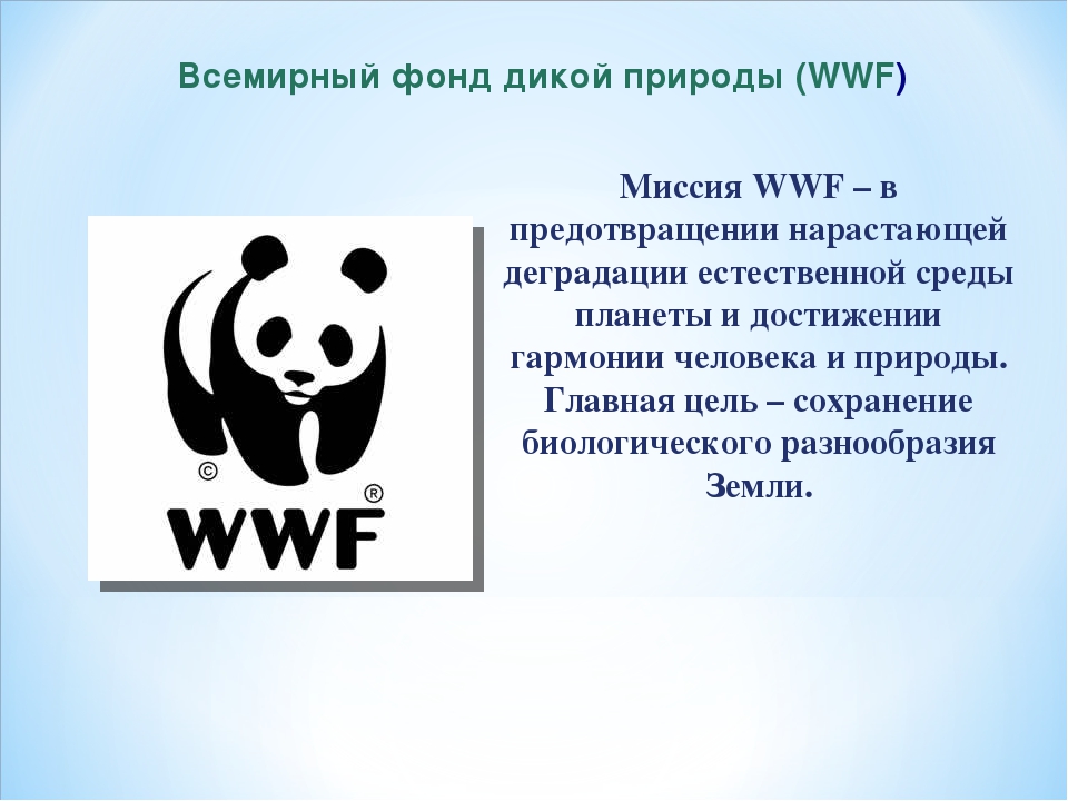 Экологическая организация 4 класс. Всемирный фонд дикой природы WWF. Всемирный фонд дикой природы основные направления деятельности. Эмблема фонда охраны дикой природы. Международные организации защиты животных WWF.
