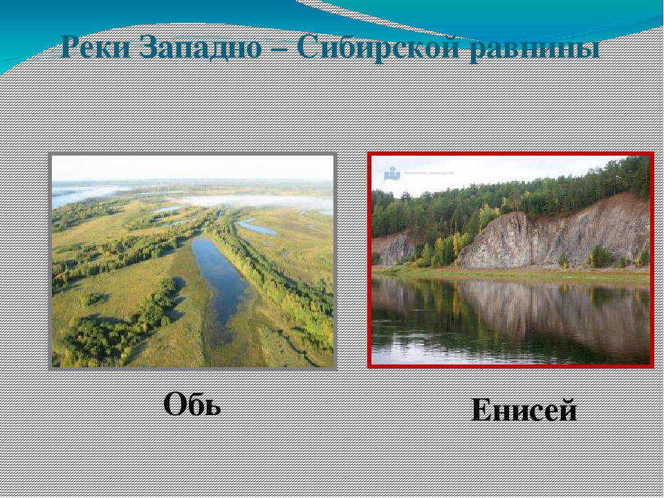 Крупнейшая река западной сибири енисей. Реки Западно сибирской равнины. Обь и Енисей. Западно Сибирская равнина Обь Енисей. Реки Обь и Енисей.