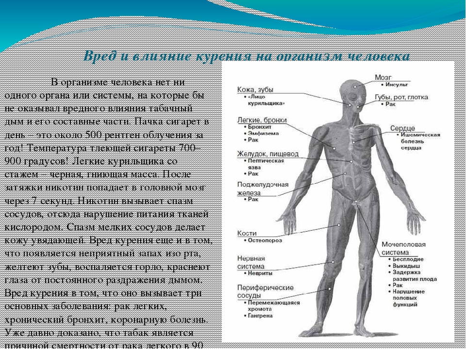 Презентация на тему влияние курения на организм молодого человека