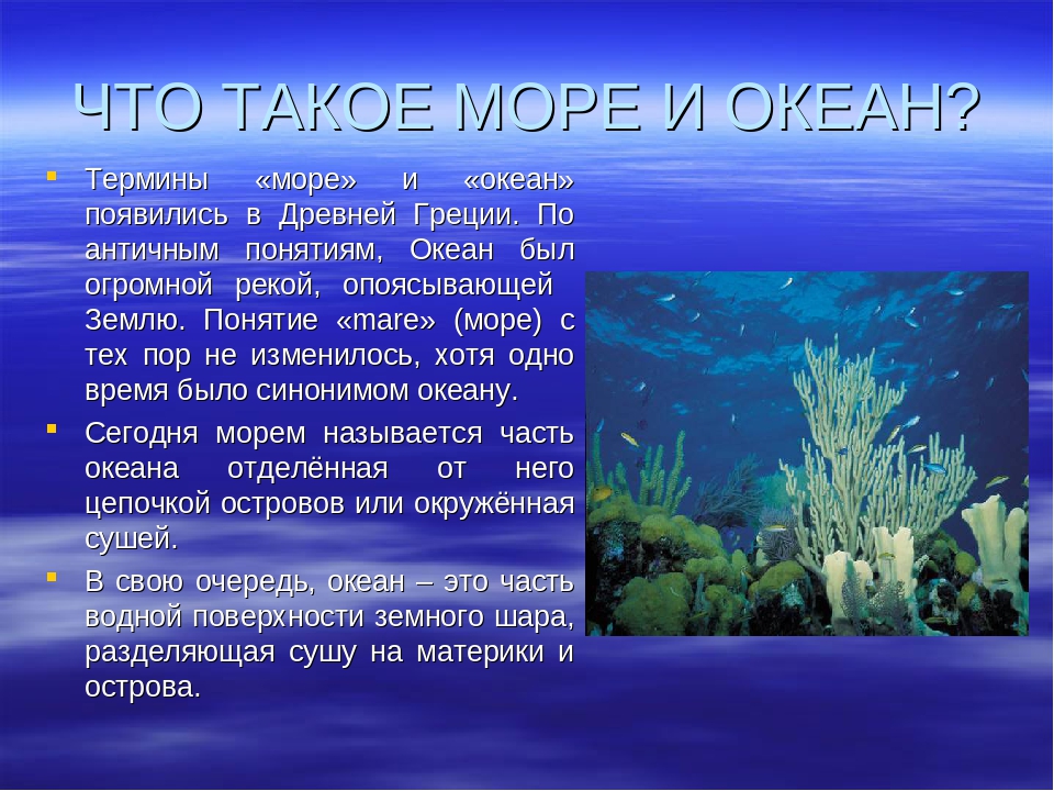 Допиши определение океаны это 2. Море для презентации. Моря и океаны презентация. Красоты морей для презентации. Проект ,, моря и Акианы".