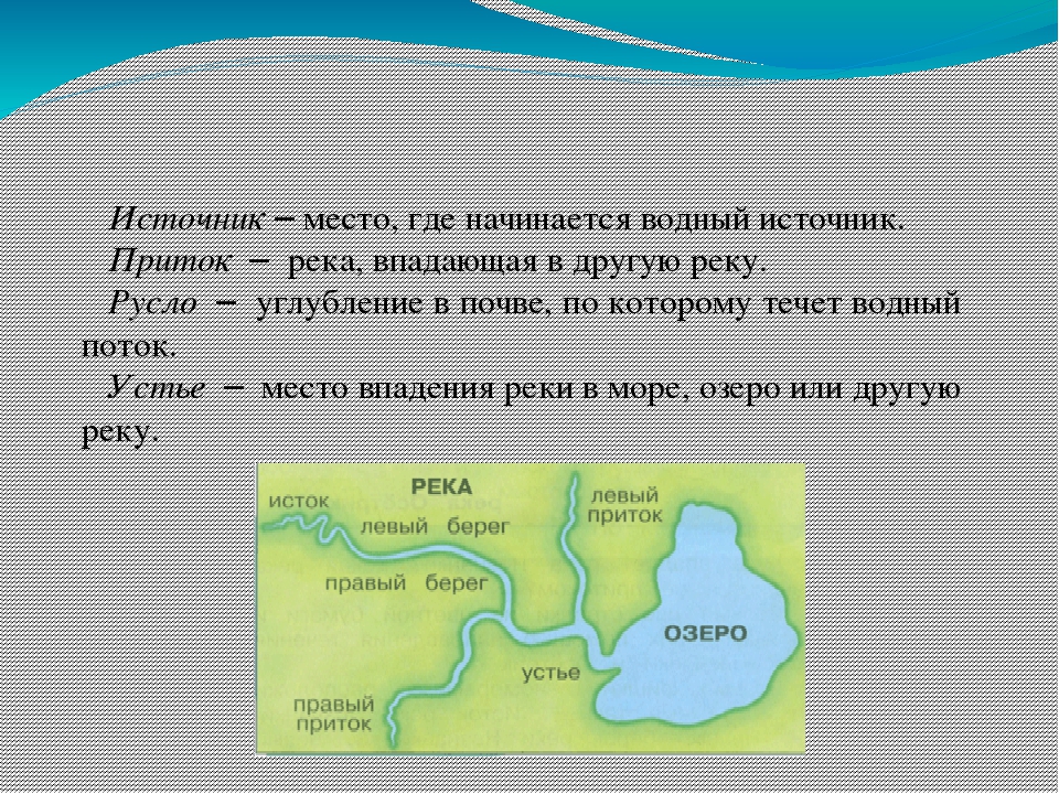 Где протекает лена. Приток реки это. Главные притоки реки Лены. Река впадает. Куда впадает река.