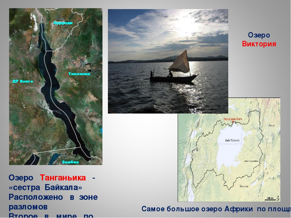 Как произошло озеро танганьика. Озеро Танганьика расположено. Происхождение озера Танганьика. Сестра Байкала Танганьика. Максимальная глубина озера Танганьика.