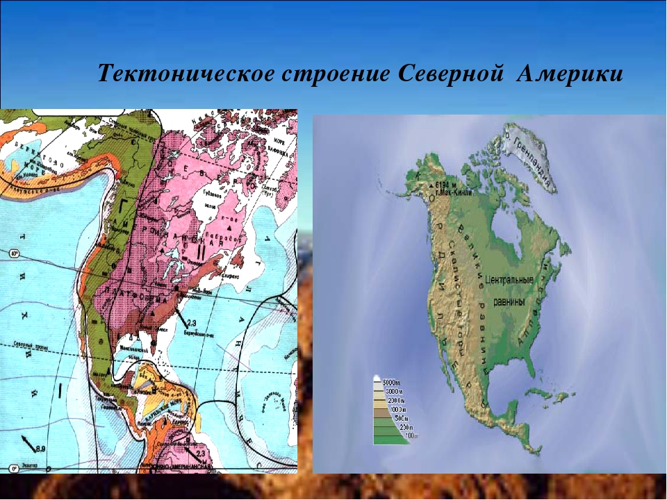 Платформа северной америки. Тектоническая структура Кордильер Северной Америки. Тектоника и рельеф Северной Америки. Тектоническое строение Северной Америки 7 класс. Тектоническое строение Северной Америки таблица.