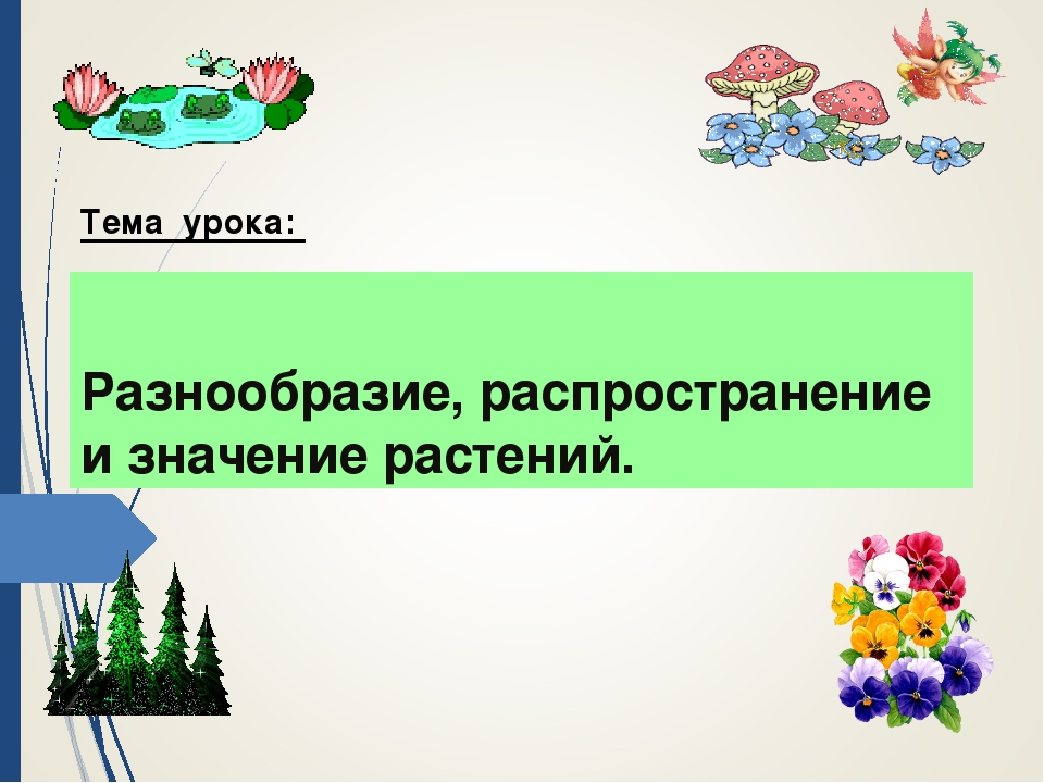 Значение разнообразия. Распространение и значение растений. Разнообразие и значение растений. Разнообразие распространение. Многообразие и значение растений..