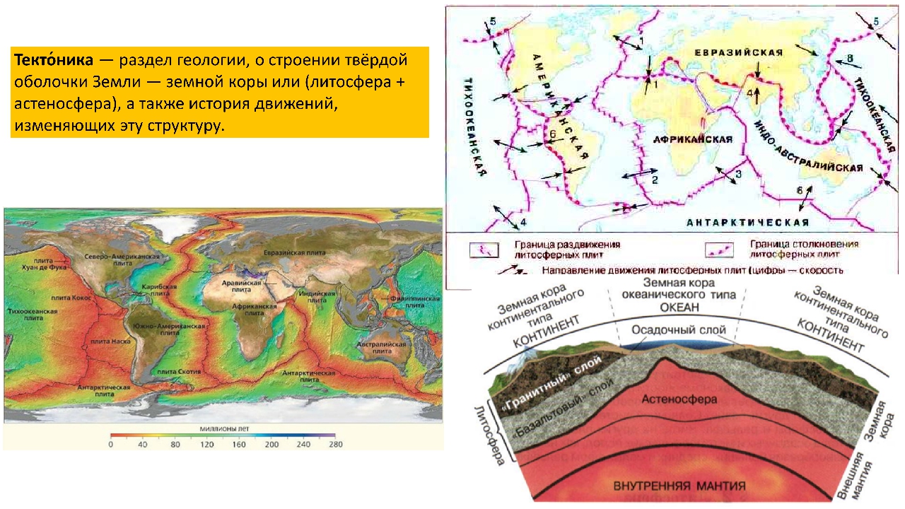 История тектоника. Направление движения тектонических плит земли схема. Карта России литосферные плиты России. Тектоническая карта мира литосферные плиты. Географическая карта тектонических плит.