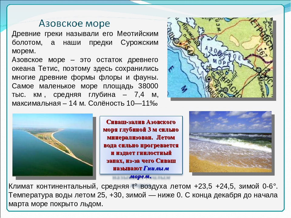 Какая вода в азовском. Температура Азовского моря зимой и летом. Температура воды Азовского моря зимой и летом. Климатические условия Азовского моря. Азовское мореттемпература.