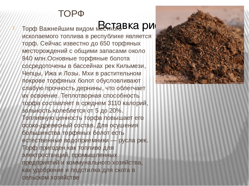 Какие полезные ископаемые в нижегородской области добывают. Сообщение о торфе. Торф информация. Ископаемые торф. Доклад на тему торф.