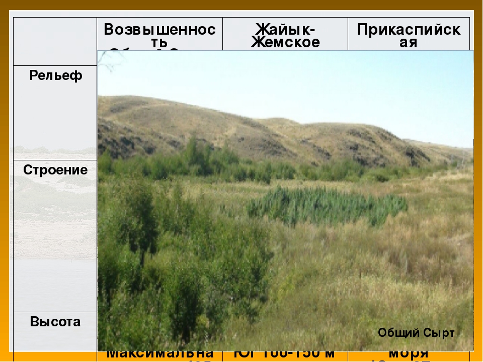 Форма рельефа возвышенность. Общий сырт. Общий сырт возвышенность. Плато общий сырт. Общий сырт возвышенность на карте.