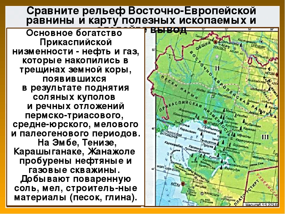 Какие полезные ископаемые в равнинах. Полезные ископаемые Восточно европейской равнины. Прикаспийская низменность низменность на карте России. Восточно-европейская равнина на карте ископаемые. Полезные ископаемые Восточно-европейской равнины в России.